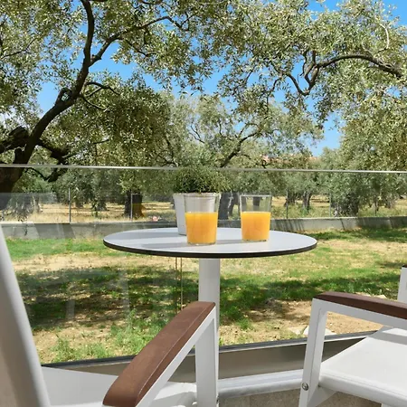 Olea Luxury Apartament *