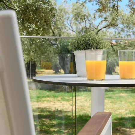 Olea Luxury Apartment Skala Rachoni (Thasos)